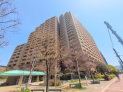 江東区新砂３丁目