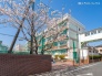中学校
