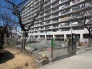 保育園