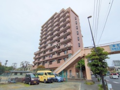 葛飾区青戸8丁目